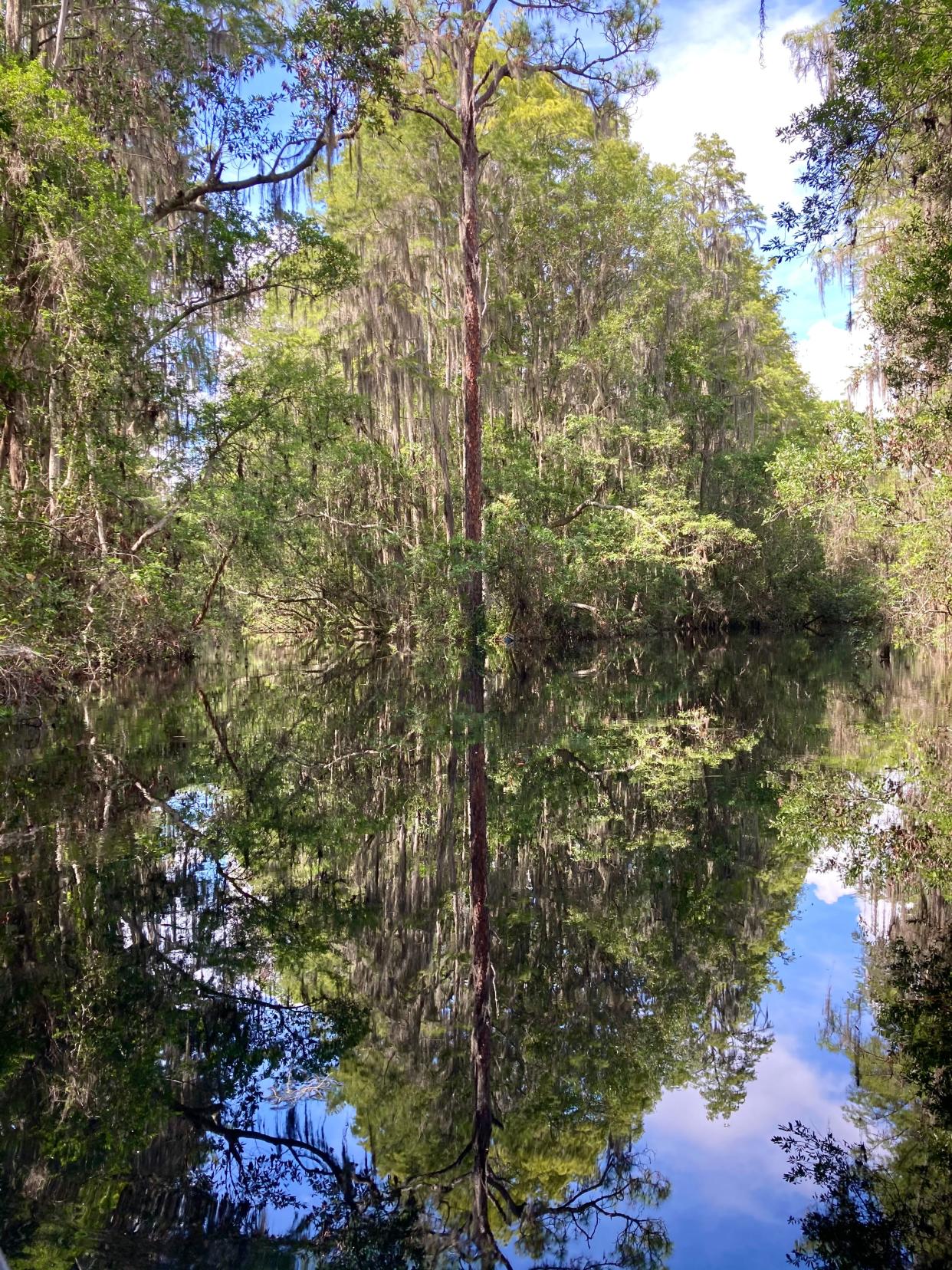 FILE: Junction of main canal and blue trail at Okefenokee Swamp. The Refuge is being considered for UNESCO World Heritage Site designation for its biological processes, wildlife diversity and its natural beauty.