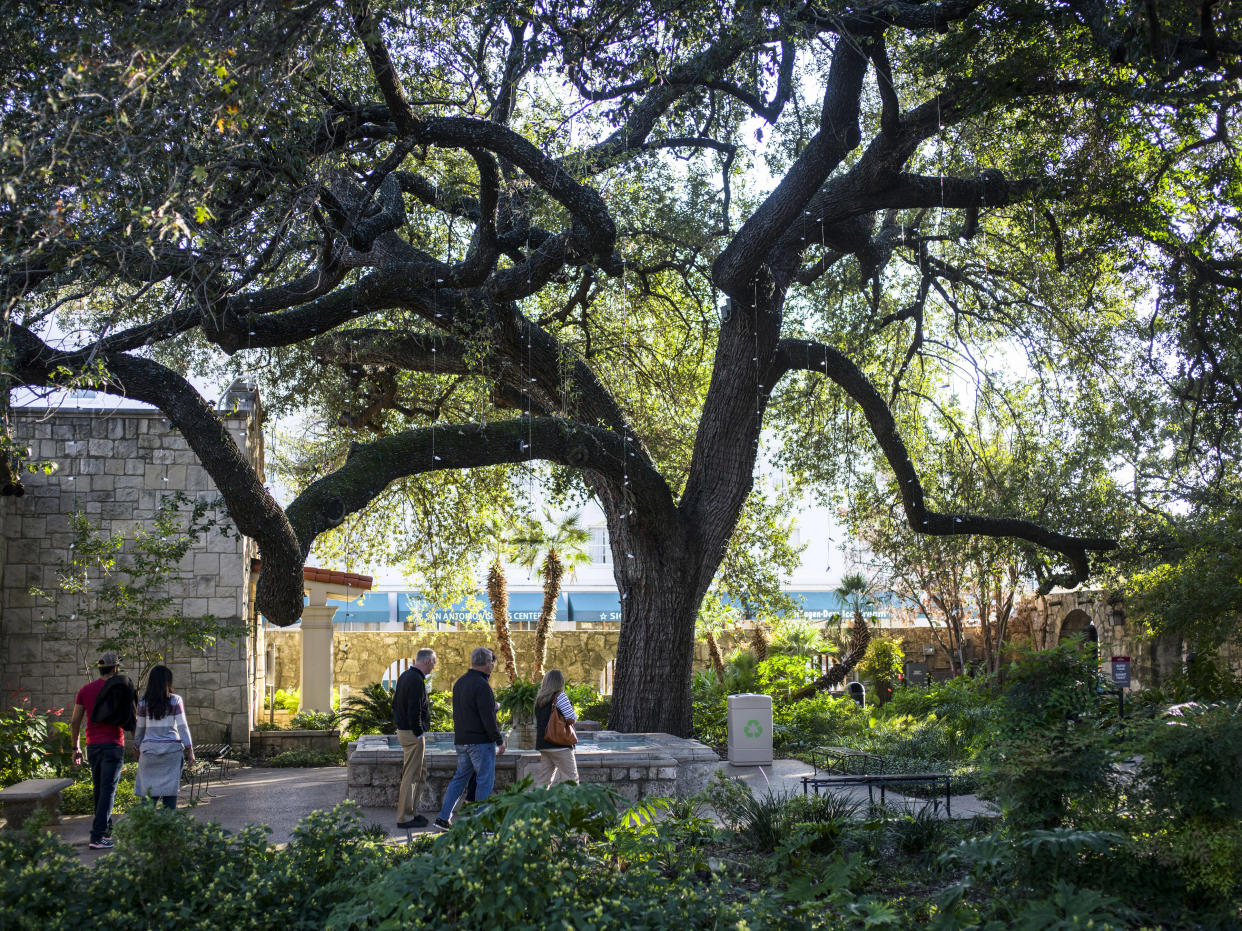 Visitantes en los jardines del Álamo en San Antonio, el 19 de noviembre de 2021. (Matthew Busch/The New York Times).