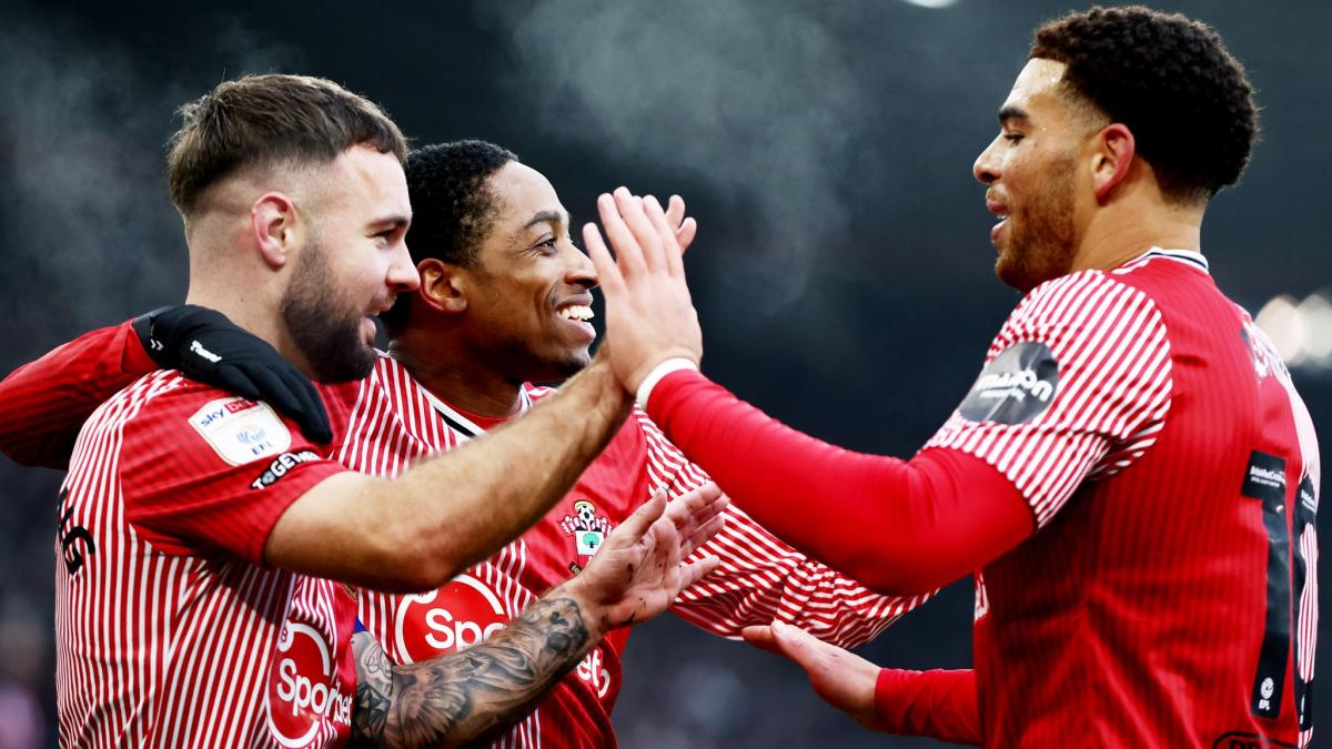 Saints 1 Cardiff City 2: Southampton suffer injury-time heartbreak