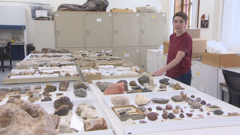 Radisson boy's rock museum, depleted by break-in, gets boost from Royal Sask. Museum donation