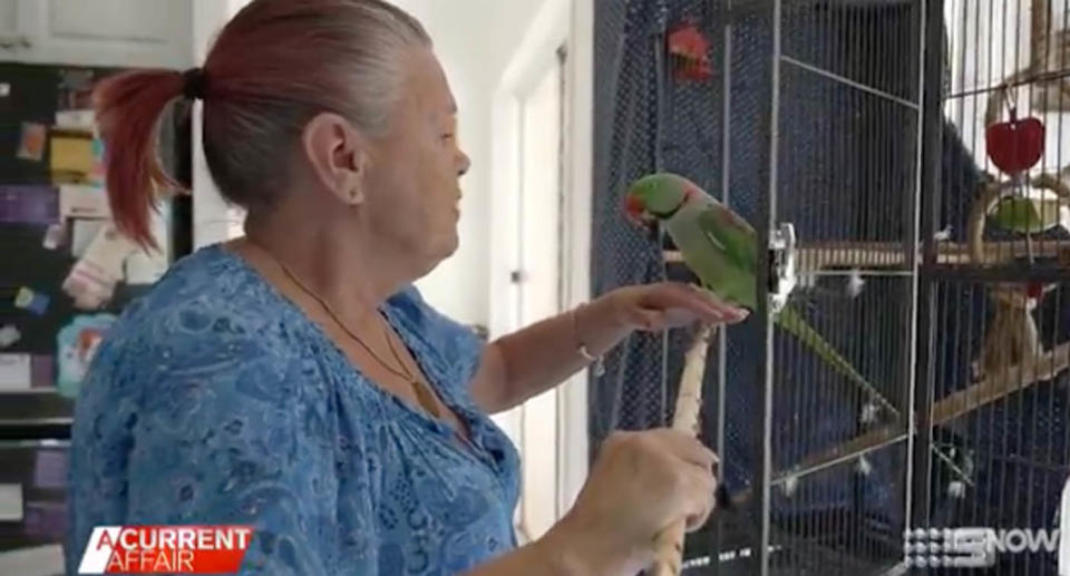 Queensland woman with bet bird in cage. 