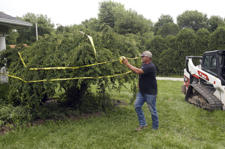 Tony Kelly, the grandson of Tressie Corsi, tapes off the cherry tree his grandfather gave to his grandmother outside of the house she has owned in Johnstown, Ohio, since 1972 that she is giving up to make way for an Intel manufacturing plant during an interview Monday, June 20, 2022. The family plans on preserving the tree. (AP Photo/Paul Vernon)