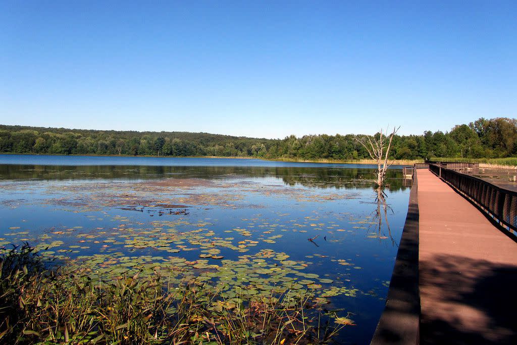 Pickerel Lake, Michigan