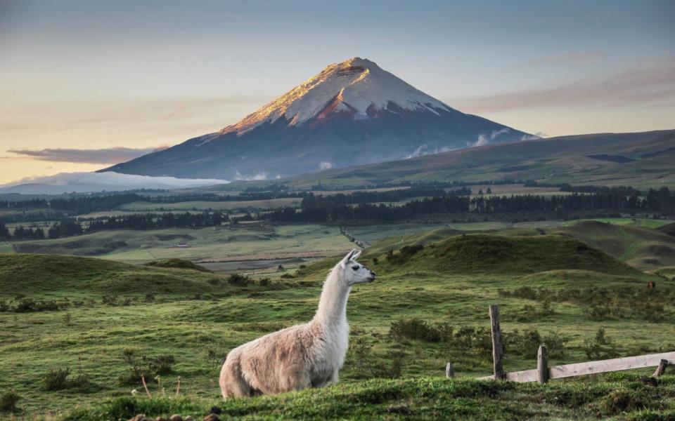 Cotopaxi - Getty