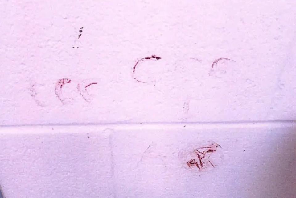 Nikolas Cruz usó su propia sangre para escribir “666” en la pared de su prisión (Broward Sheriff’s Office)