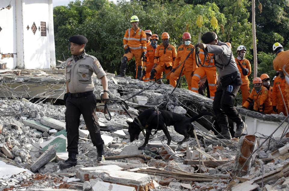 Rescuers with sniffer dogs search for victims at a mosque damaged by an earthquake in North Lombok, Indonesia, Tuesday, Aug. 7, 2018. Thousands of people left homeless sheltered Monday night in makeshift tents following a powerful quake that ruptured roads and flattened buildings on the Indonesian tourist island of Lombok, as authorities said rescuers hadn't yet reached all devastated areas. (AP Photo/Firdia Lisnawati)