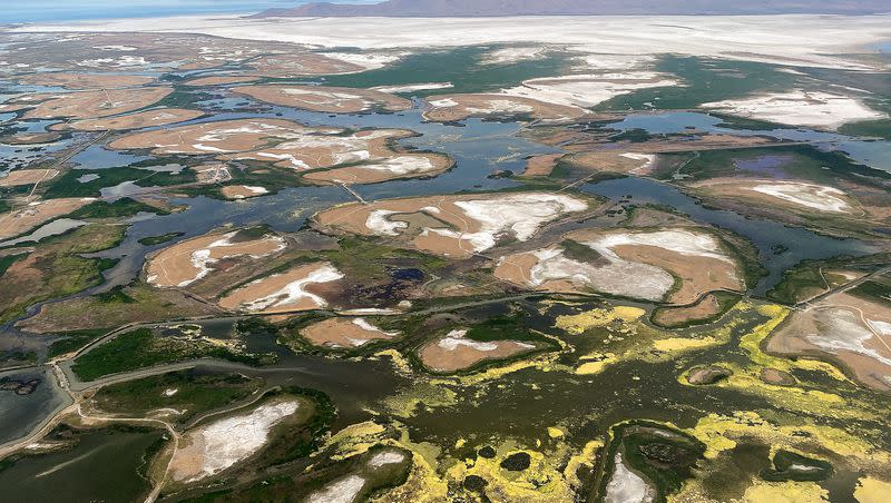 Wetlands are pictured to the south and east of Antelope Island in the Great Salt Lake on July 2, 2023.