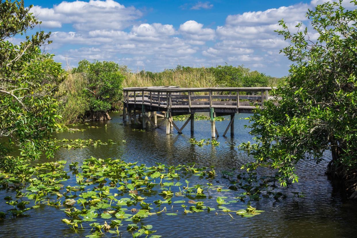 Everglades National Park in Florida