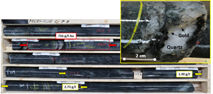 Photograph of core containing gold within MU21-050 (357.25 – 357.65 m – ETW 0.31m @ 716 g/t Au).