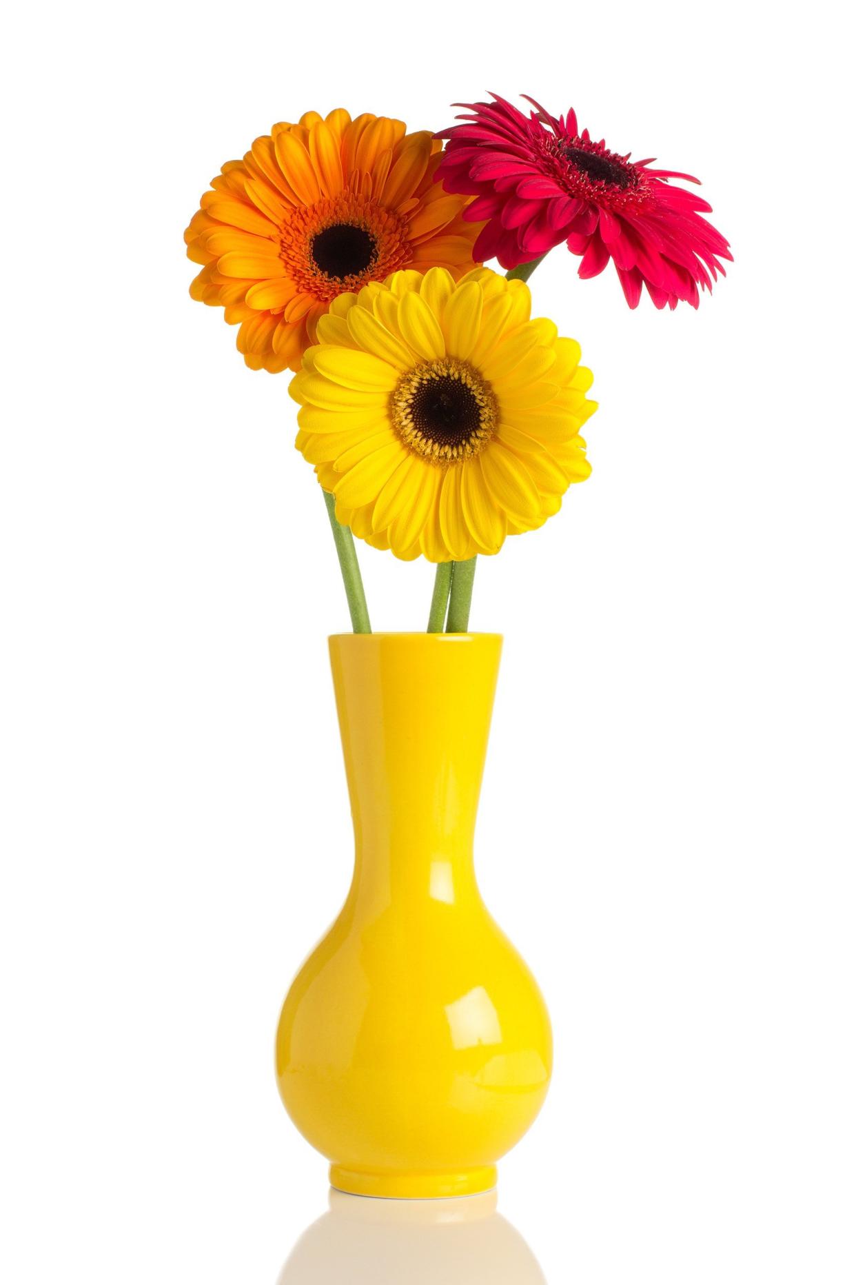 daisies in yellow flower vase