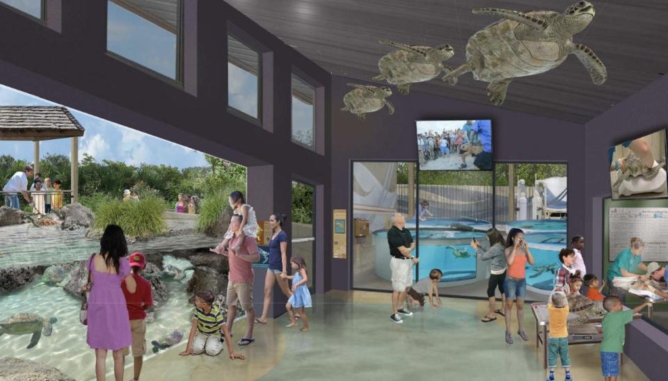 This is an artist's rendering of the sea turtle area at the proposed aquarium and conservation center the Brevard Zoo plans to develop at Port Canaveral.