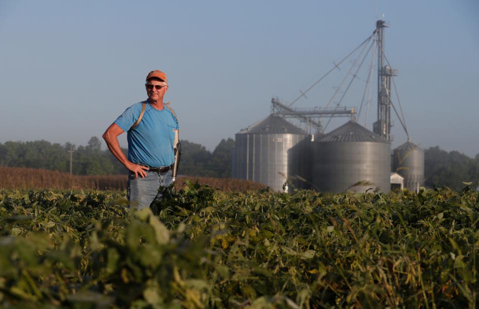 Jack Maloney looks over one of the soybean fields on his Little Ireland Farms in Brownsburg, Ind. Maloney says farmers want free trade.