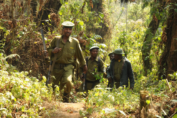 Park rangers carry out an anti-poaching patrol in Kahuzi-Biega National Park in the Democratic Republic of Congo.