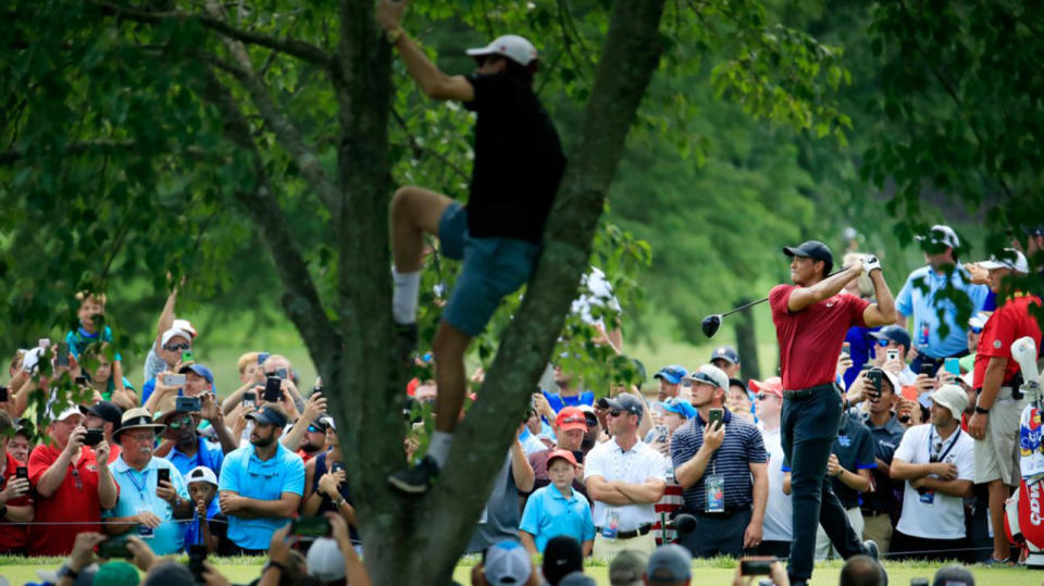 Fans were scrambling to get a glimpse of Tiger Woods. Image: Getty