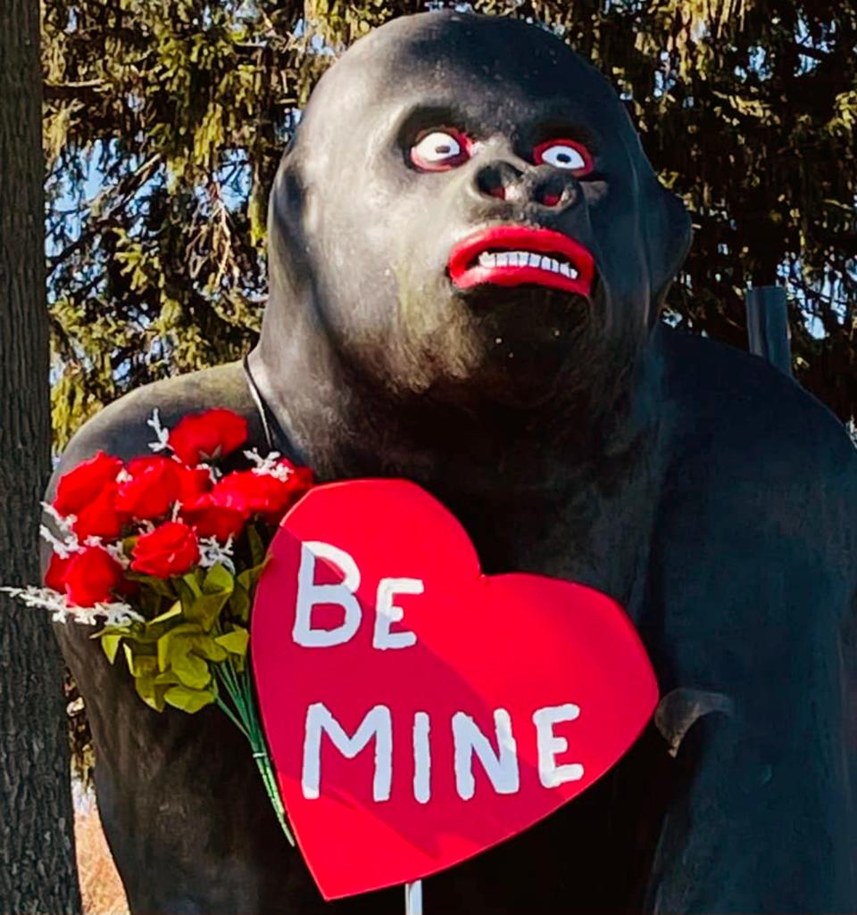 Tom Sinibaldi's gorilla dressed for Valentine's Day.