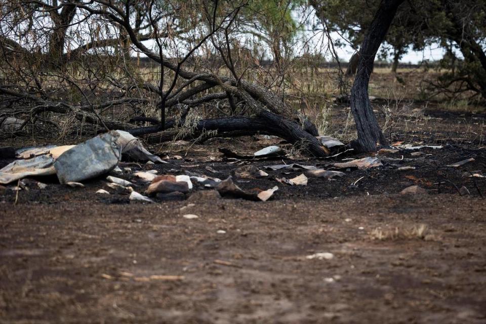 Trees are charred from the Dempsey Fire, which burned almost 12,000 acres Monday, June 27, 2022 near Palo Pinto.