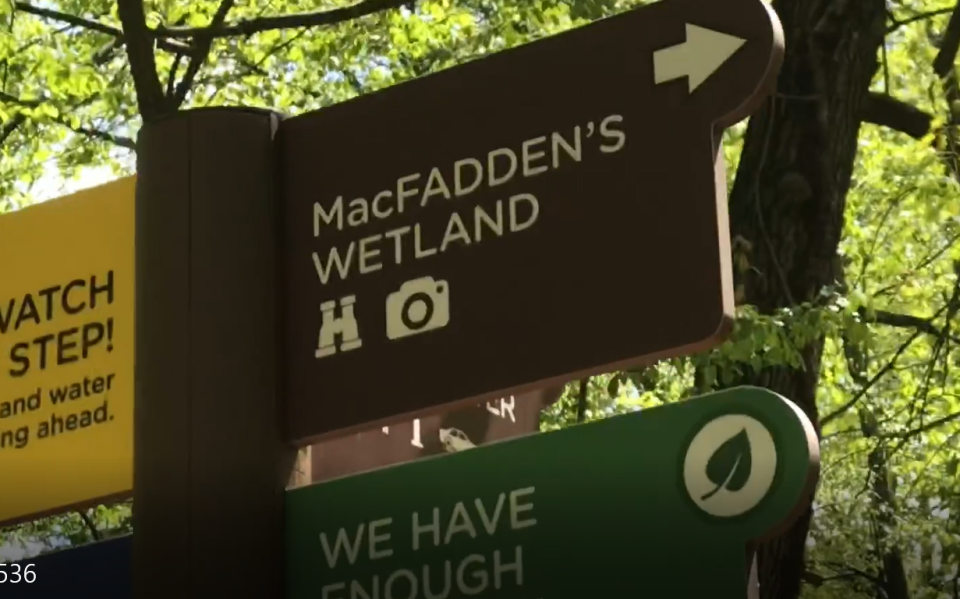 This sign at Flat Rock Brook Nature Center, pointing to Macfadden's Wetland, formerly Macfadden's Pond, is one of the few remaining traces of Bernarr Macfadden in Englewood.