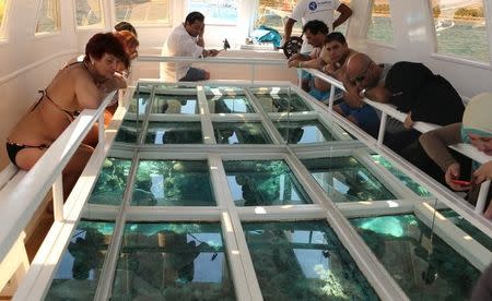 Russian and Arab tourists look at coral reefs through a glass on a boat at the Red Sea resort of Sharm el-Sheikh November 9, 2015. REUTERS/Asmaa Waguih