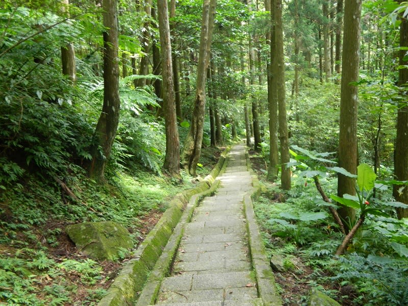 滿月圓國家森林遊樂區，多元林相種類創造無盡綠意。圖/台灣山林悠遊網                