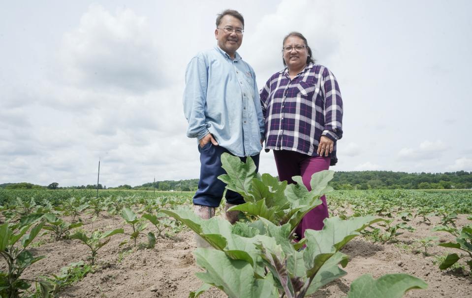 Vang Xiong, left, and Vang Thao seen on the farm Tuesday, July 9, 2024, at 4615 Pleasant Hill Road in Richfield, Wis. Thao and Xiong are apart of the Wisconsin’s Local Food Purchase Assistance Program which helps small farmers grow their business by contracting them with food pantries to provide fresh local produce. Some of the items they give to the Hunger Task Force are green beans, tomatoes, bell peppers. “We love feeding the community with our fresh produce,” Thao expressed. Xiong and Thao decided to jump on the opportunity. “It’s a lot of work but it is very rewarding.” They spend about 10-12 hours a day on the farm.