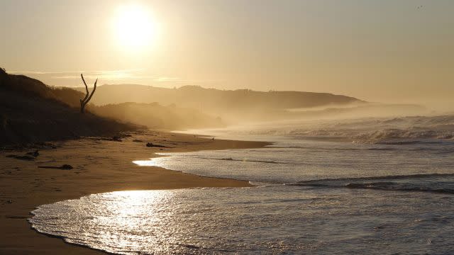 The sun rises over St. Clair beach in Dunedin