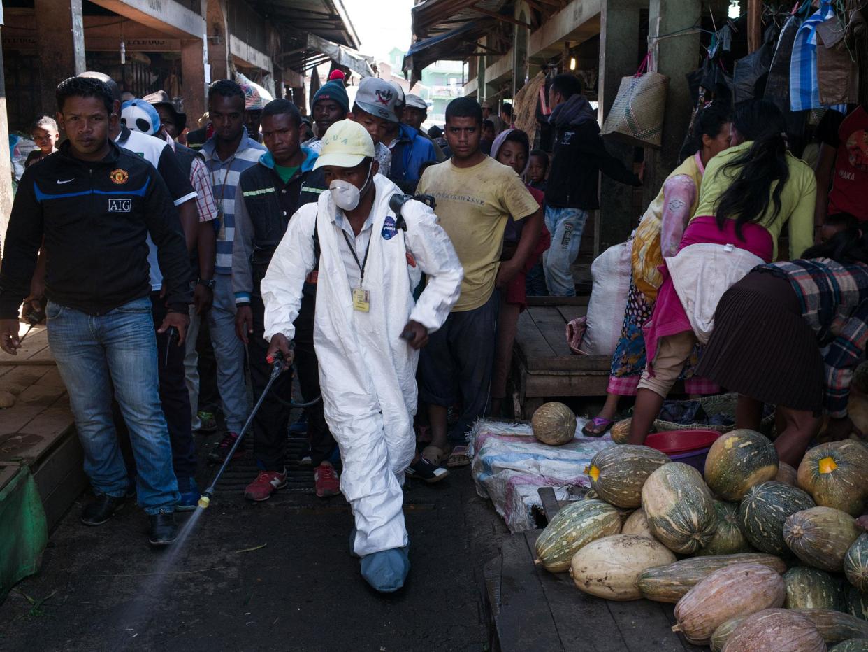 A council worker sprays disinfectant as a deadly outbreak of the plague spreads through cities across Madagascar: RIJASOLO/AFP/Getty Images