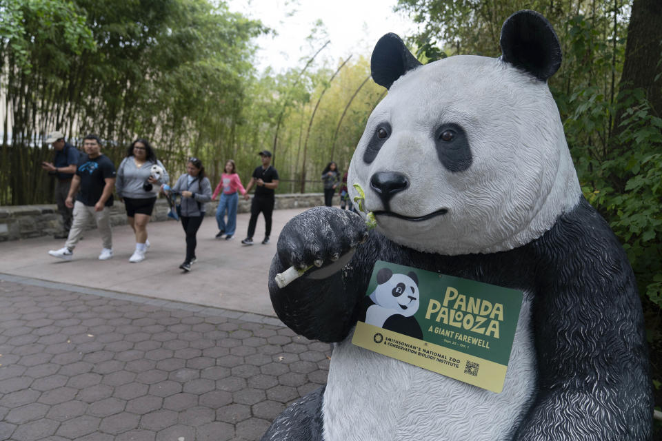 Visitor walk at the Giant Panda exhibition at Smithsonian's National Zoo in Washington, Thursday, Sept. 28, 2023. (AP Photo/Jose Luis Magana)