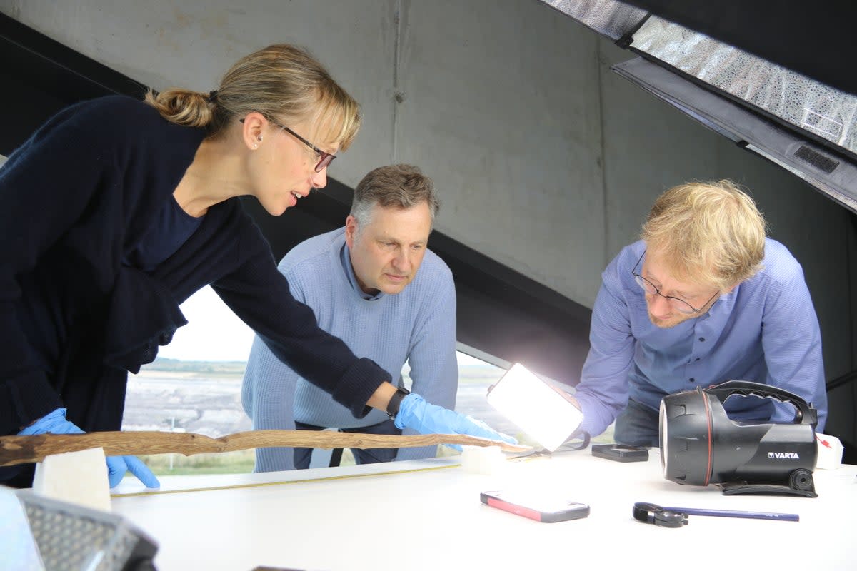 Dr Annemieke Milks and colleagues examine the stick (Volker Minkus)