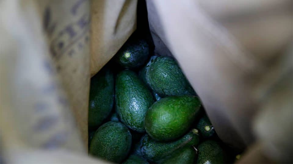 Police say thieves are stealing thousands of dollars worth of avocados at a time. Source: Twitter