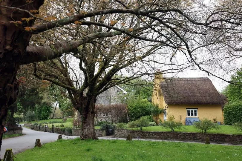 There are thatched roofs on gorgeous cottages everywhere you look