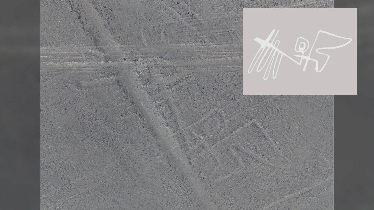 Here we see a Nazca line in gray of a bird, with its wings spread out wide. 