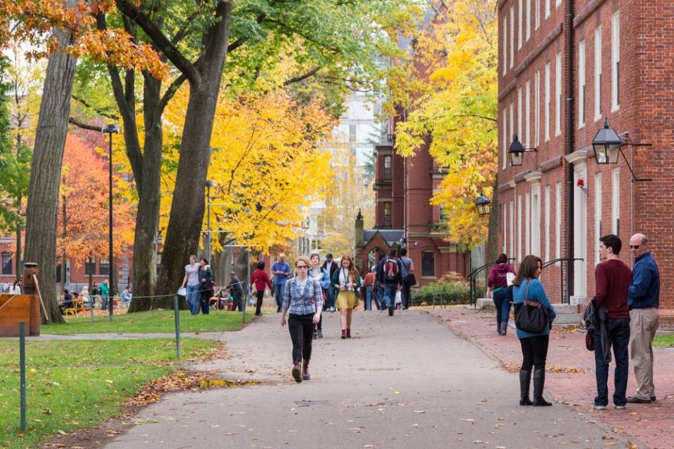 harvard college campus