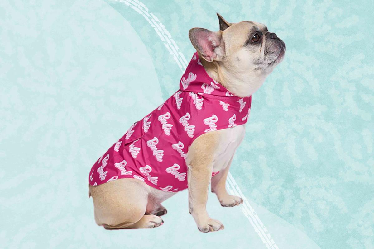 Get Your Dog Ready For The Movie With This Barbie-Inspired Collection