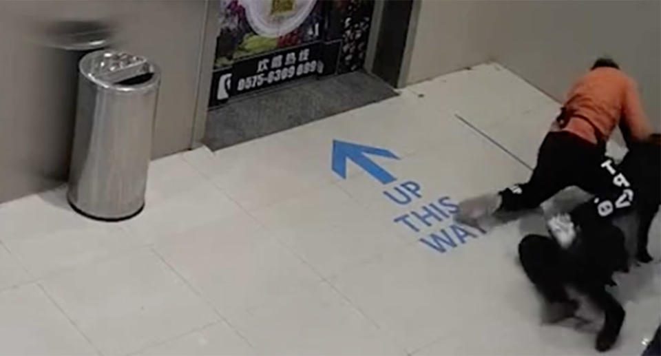 The pair can be seen tussling on the floor of the foyer, outside the lift, as the video ends. Source: Australscope.