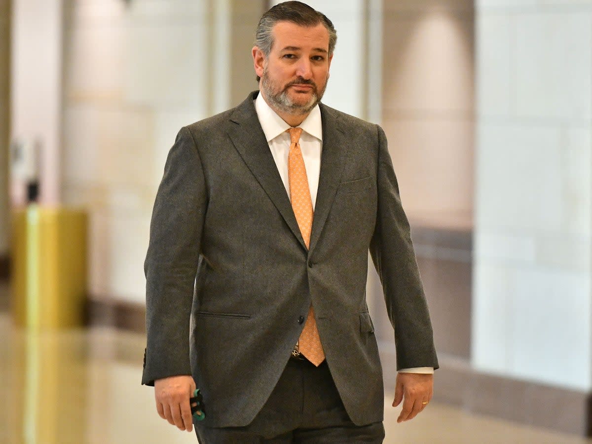 El Senador Ted Cruz (R-TX) camina por el Centro de Visitantes del Capitolio mientras el Secretario de Estado de los Estados Unidos, Antony Blinken, y el Secretario de Defensa de los Estados Unidos, Lloyd Austin, no aparecen en la foto, informan a los comités de Servicios Armados y Relaciones Exteriores del Senado sobre Afganistán en el Capitolio de los Estados Unidos en Washington. DC, el 2 de febrero de 2022. (Foto de MANDEL NGAN/AFP) (Foto de MANDEL NGAN/AFP vía Getty Images) (AFP via Getty Images)