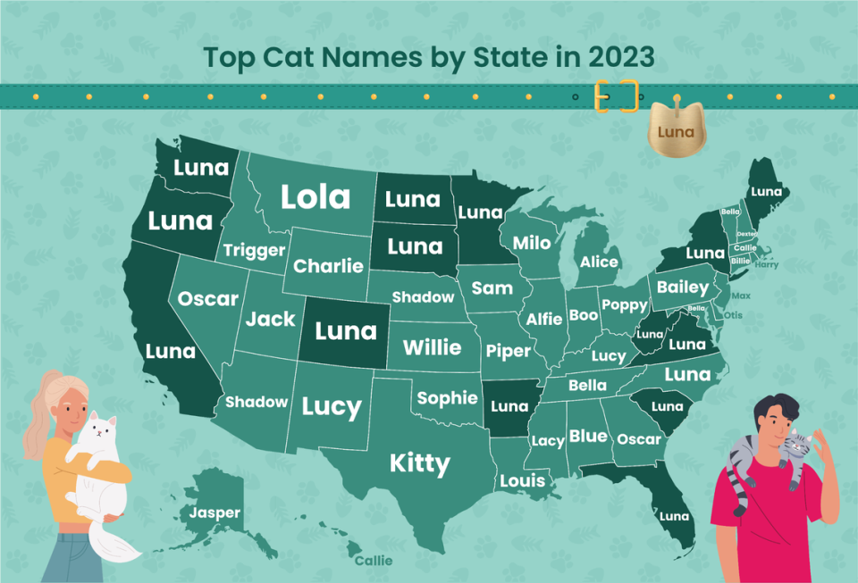 Luna is the most common cat name in North Carolina and also reigns supreme for female pets nationwide, results show.