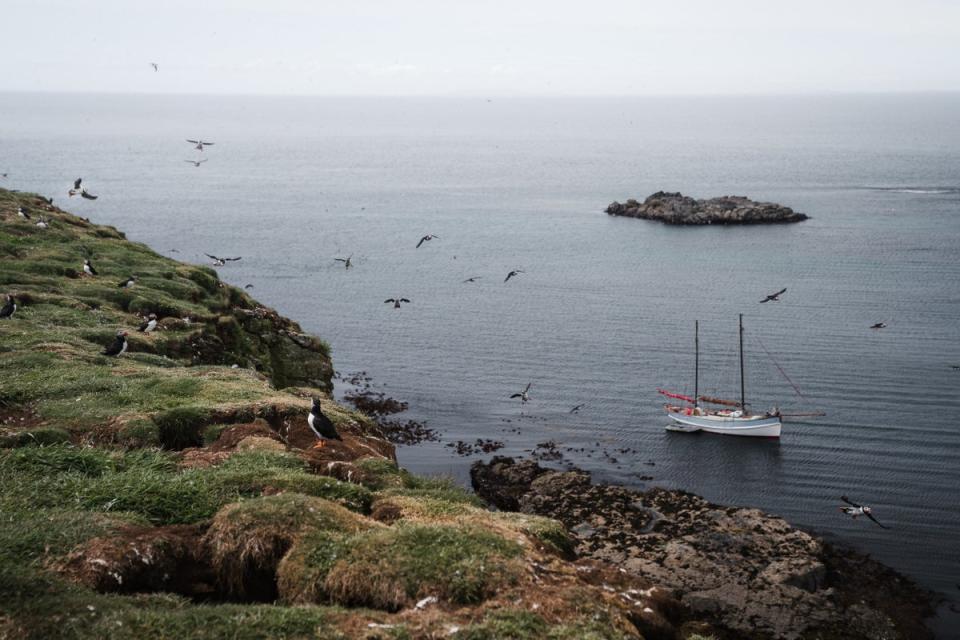 Sailing the Inner Hebrides (The Travel Project)