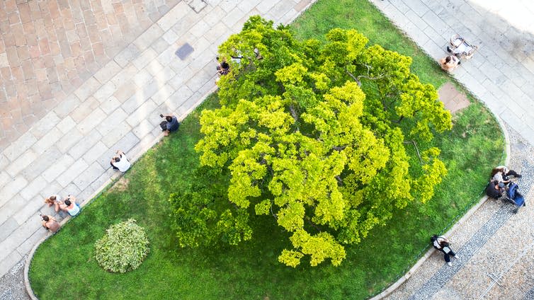 A small park viewed from above