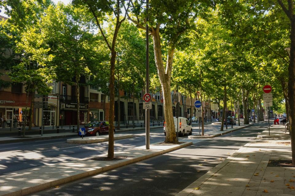 <span class="caption">Trees reduce the temperature in urban areas by providing shade to streets and buildings.</span> <span class="attribution"><span class="source">(Shutterstock)</span></span>