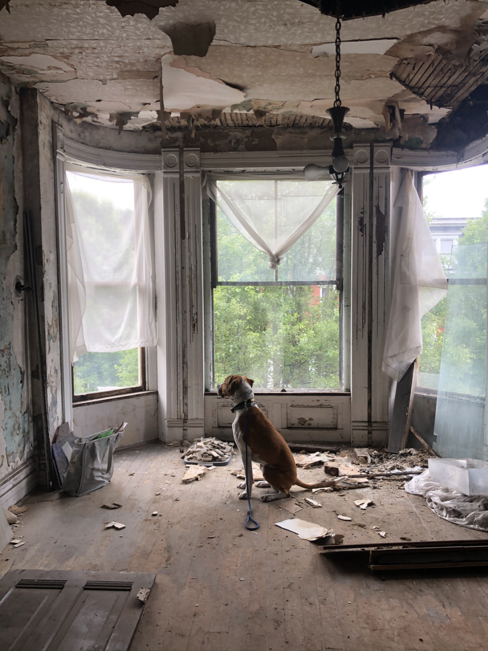 how to buy an abandoned home