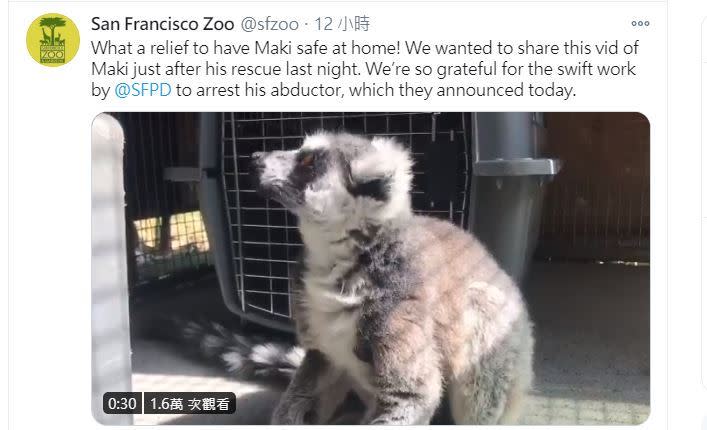 狐猴順利回到動物園。（圖／翻攝自San Francisco Zoo推特）