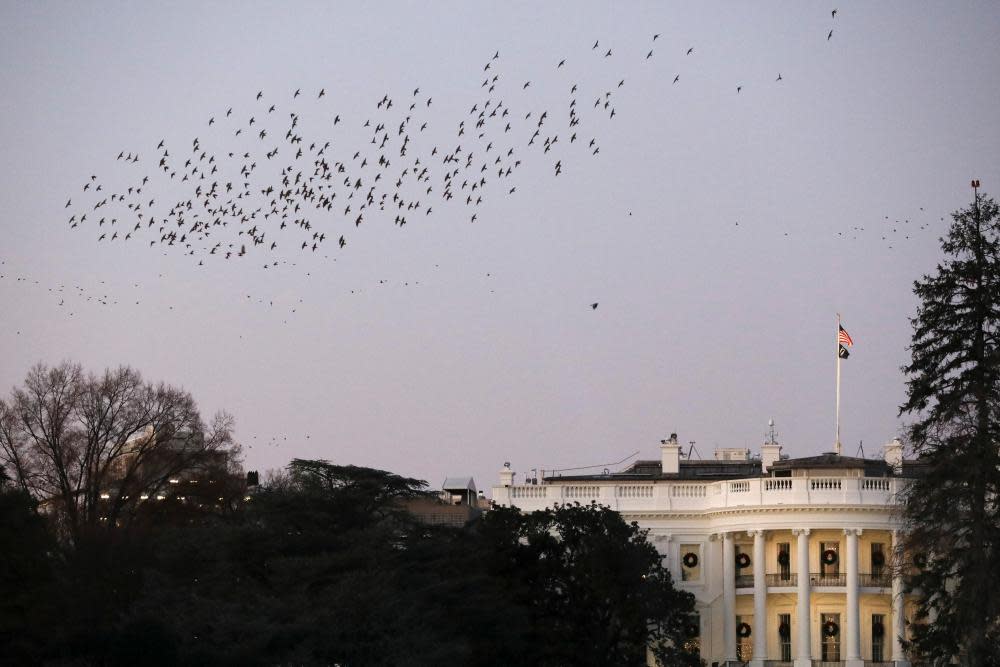 <span>Photograph: Drew Angerer/Getty Images</span>