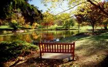 <p>College sweethearts can spend their time at Rutgers Passion Puddle, the site of collegiate romance lore. According to Rutgers tradition, any woman who walks around the pond three times with her lover will end up marrying them. So just be sure that the pondside stroll is done with the right person. </p>