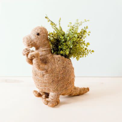 T-Rex Planter