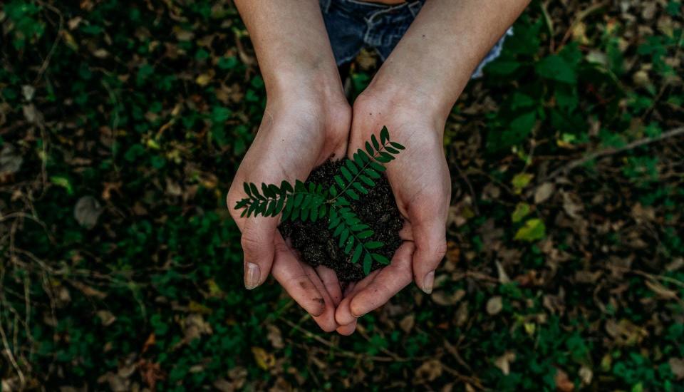 富邦投信看準綠色電力投資商機，推出富邦全球 ESG 綠色電力 ETF 基金