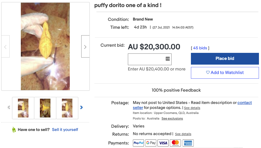 Screenshot of eBay listing of puffy dorito chip