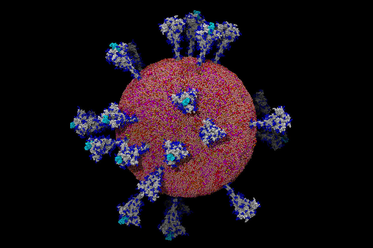 Una imagen proporcionada por Lorenzo Casalino, del laboratorio Amaro en la Universidad de California, campus San Diego, muestra un modelo átomo por átomo del coronavirus. (Lorenzo Casalino, laboratorio Amaro Lab, Universidad de California, campus San Diego)