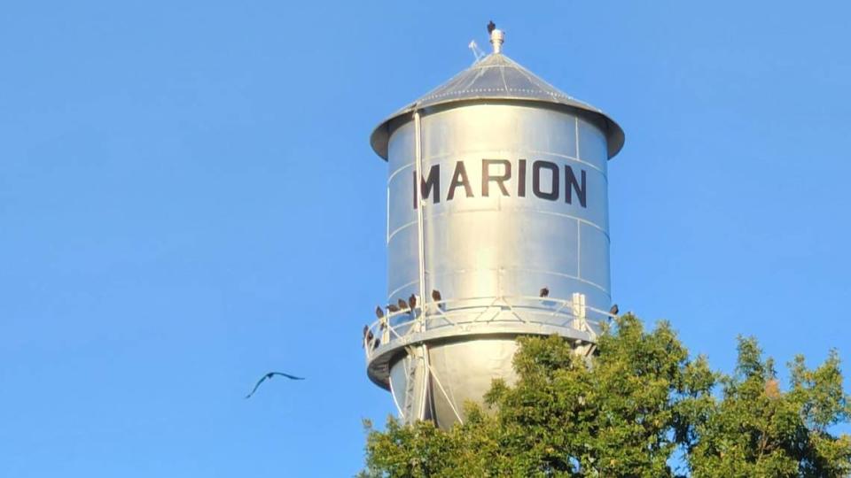 Vultures roosting on the water tower in Marion, Kansas.