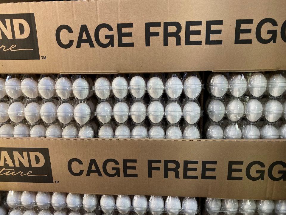 costco cage free eggs display