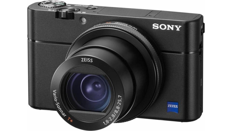 The Sony RX100 V is one of the best point-and-shoots ever made, but it's pricey for its size.